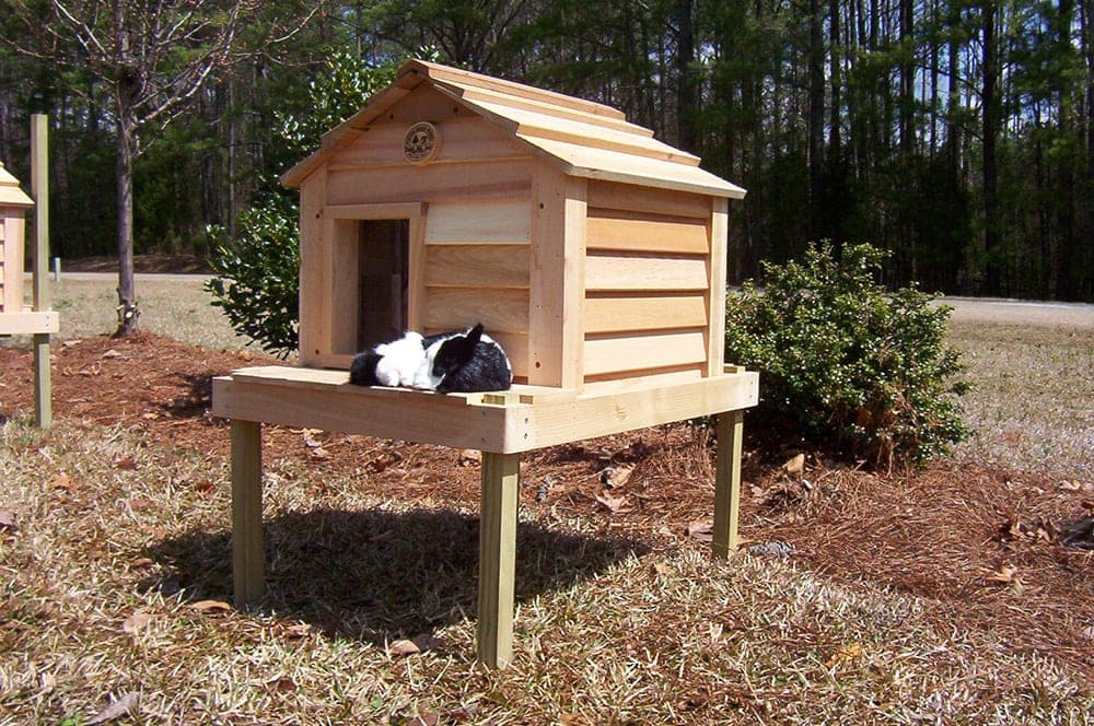 20” Cat House with Platform