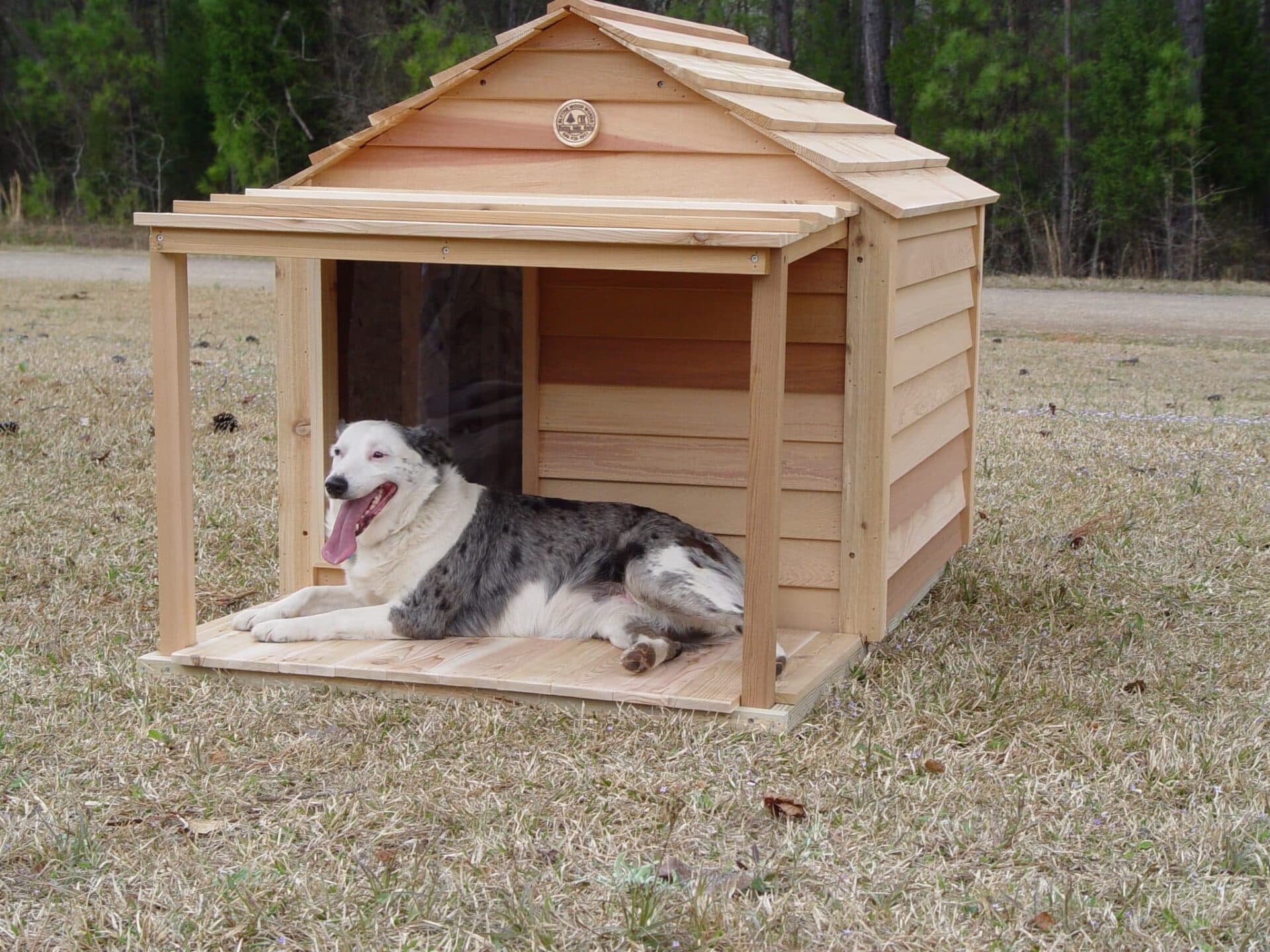 Large Dog House