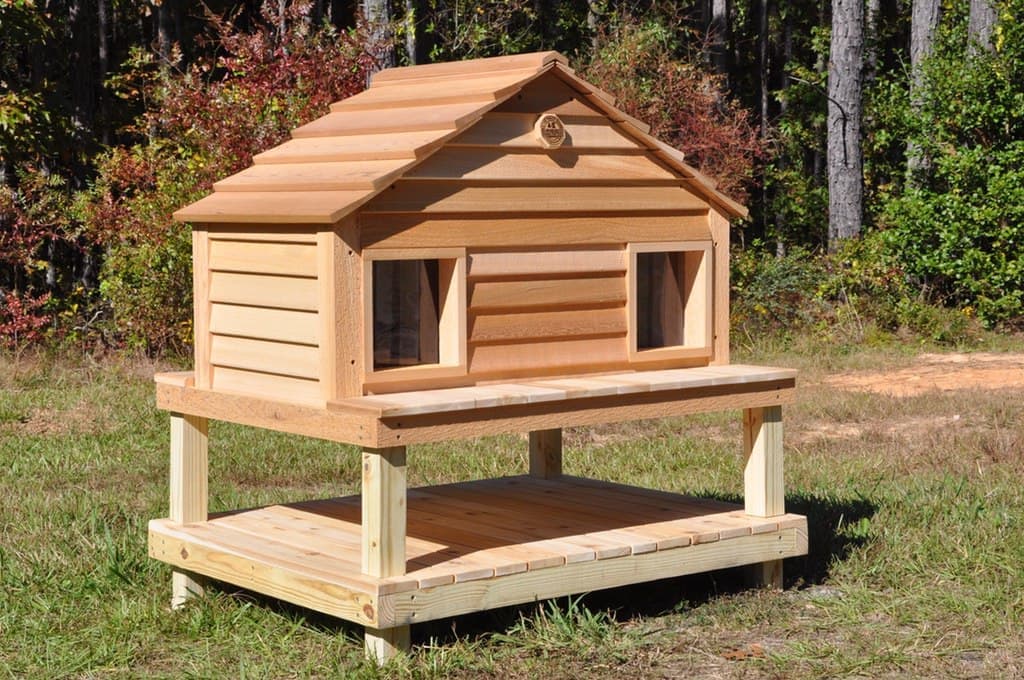 20” Cat House Duplex - thumbnail 5