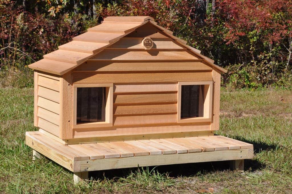 20” Cat House Duplex - thumbnail 3