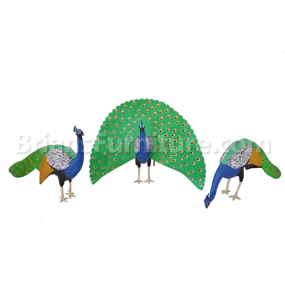 Peacock With Feathers Out - thumbnail 2
