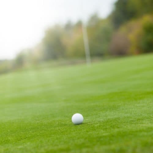 HIT THE GREEN