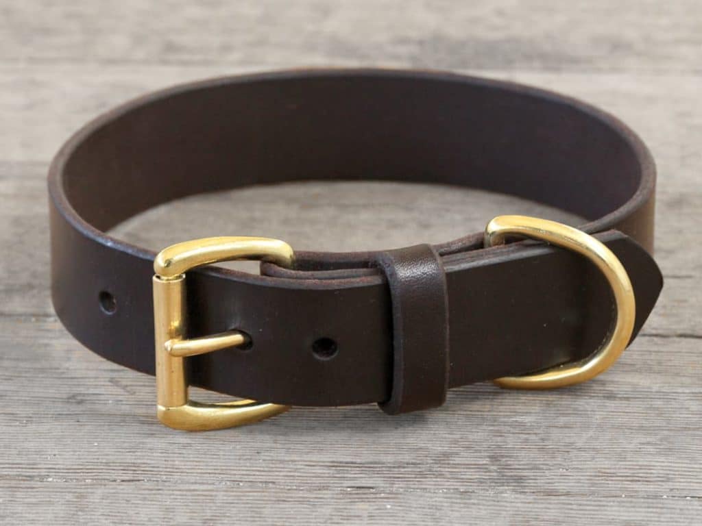 Basic Buckle – Leather Dog Collar