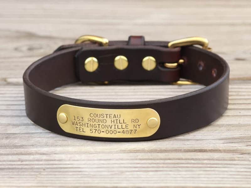 Basic Nameplate – Leather Dog Collar