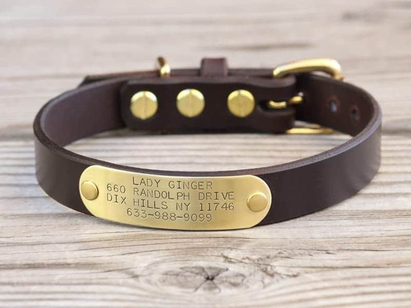 Basic Nameplate – Personalized Dog Collar
