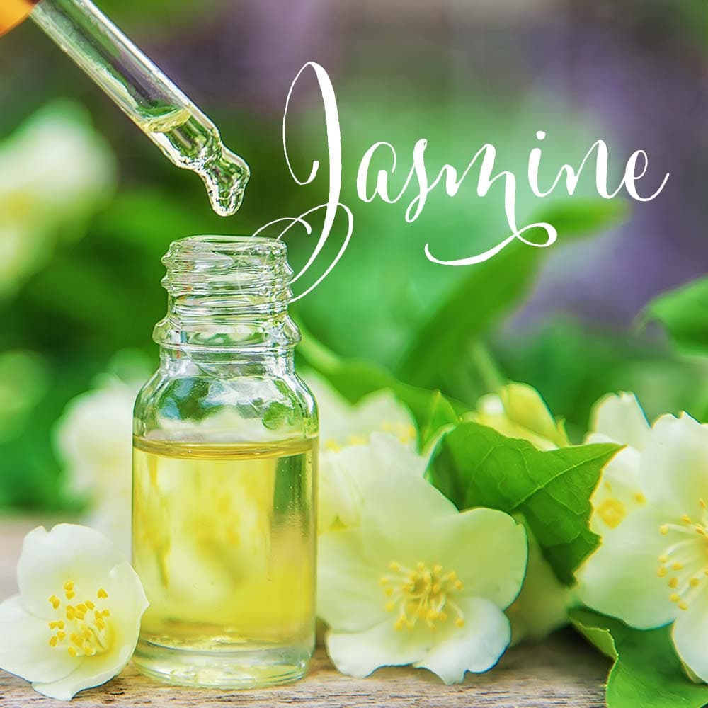Jasmine