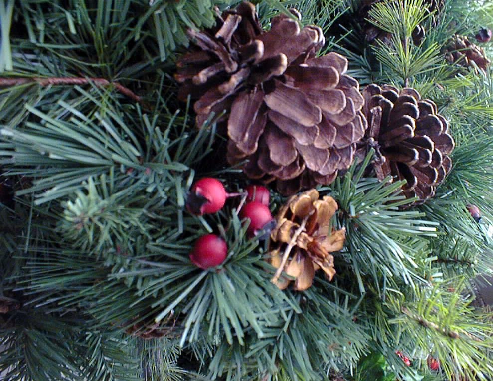 Christmas Essence - thumbnail 2