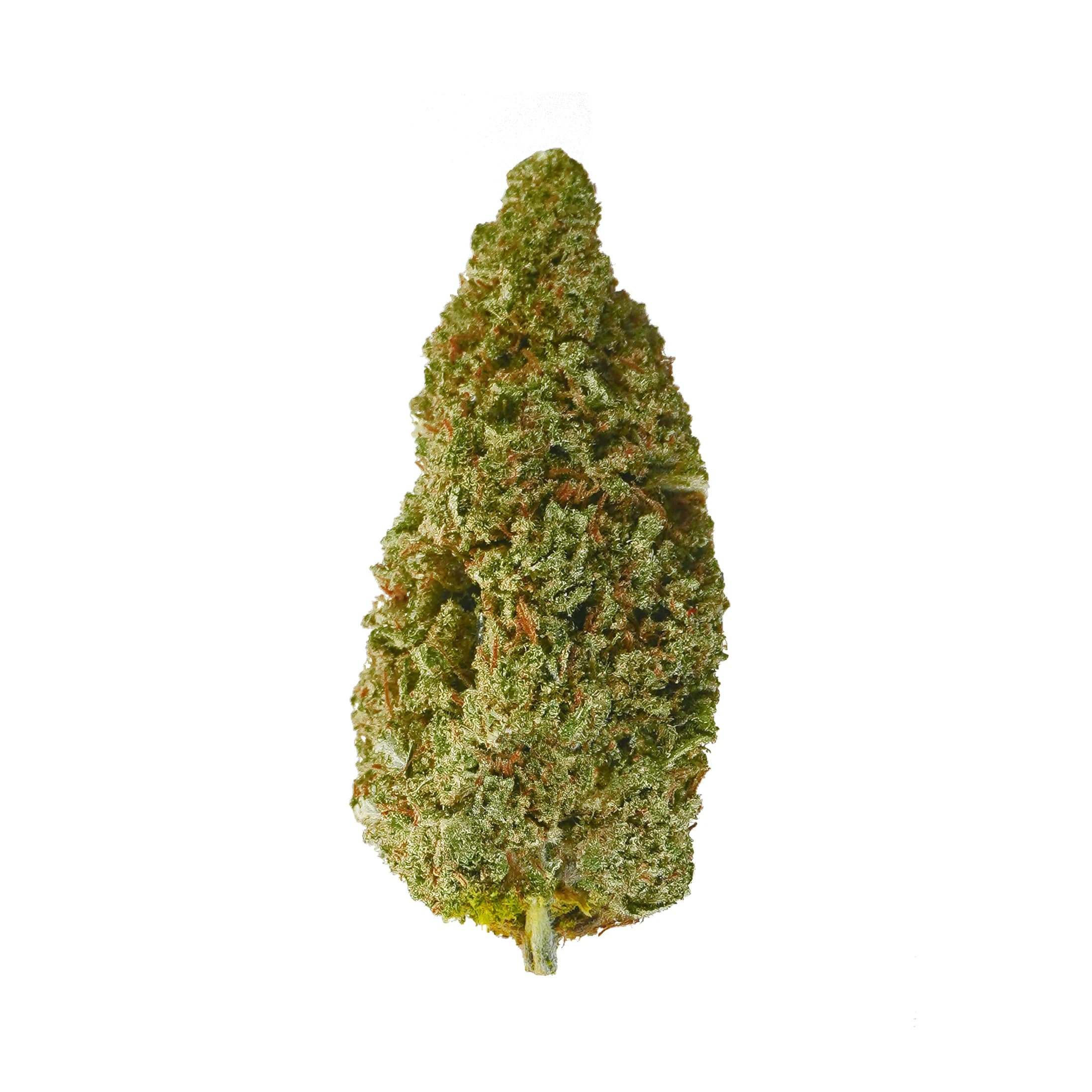Frosted Lime