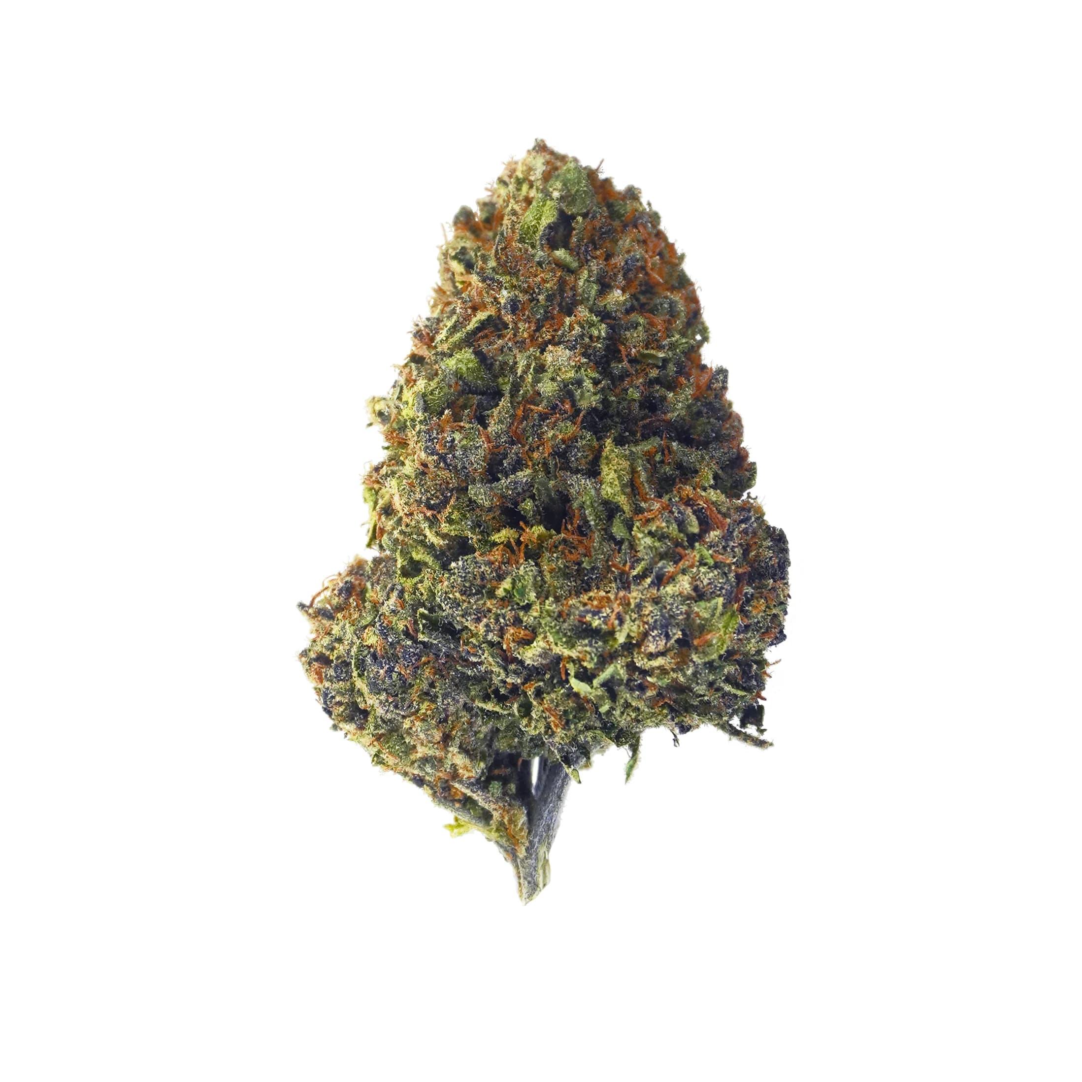 Sour Dog