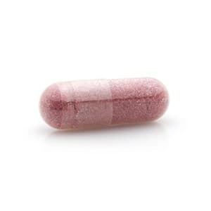 Elderberry Extract 500MG