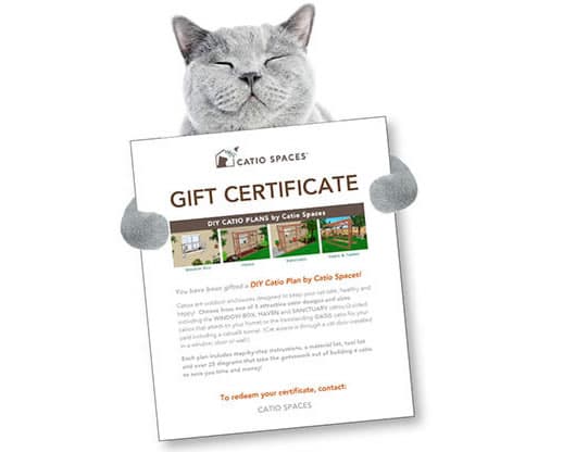 GIFT CERTIFICATE – DIY Catio Plan