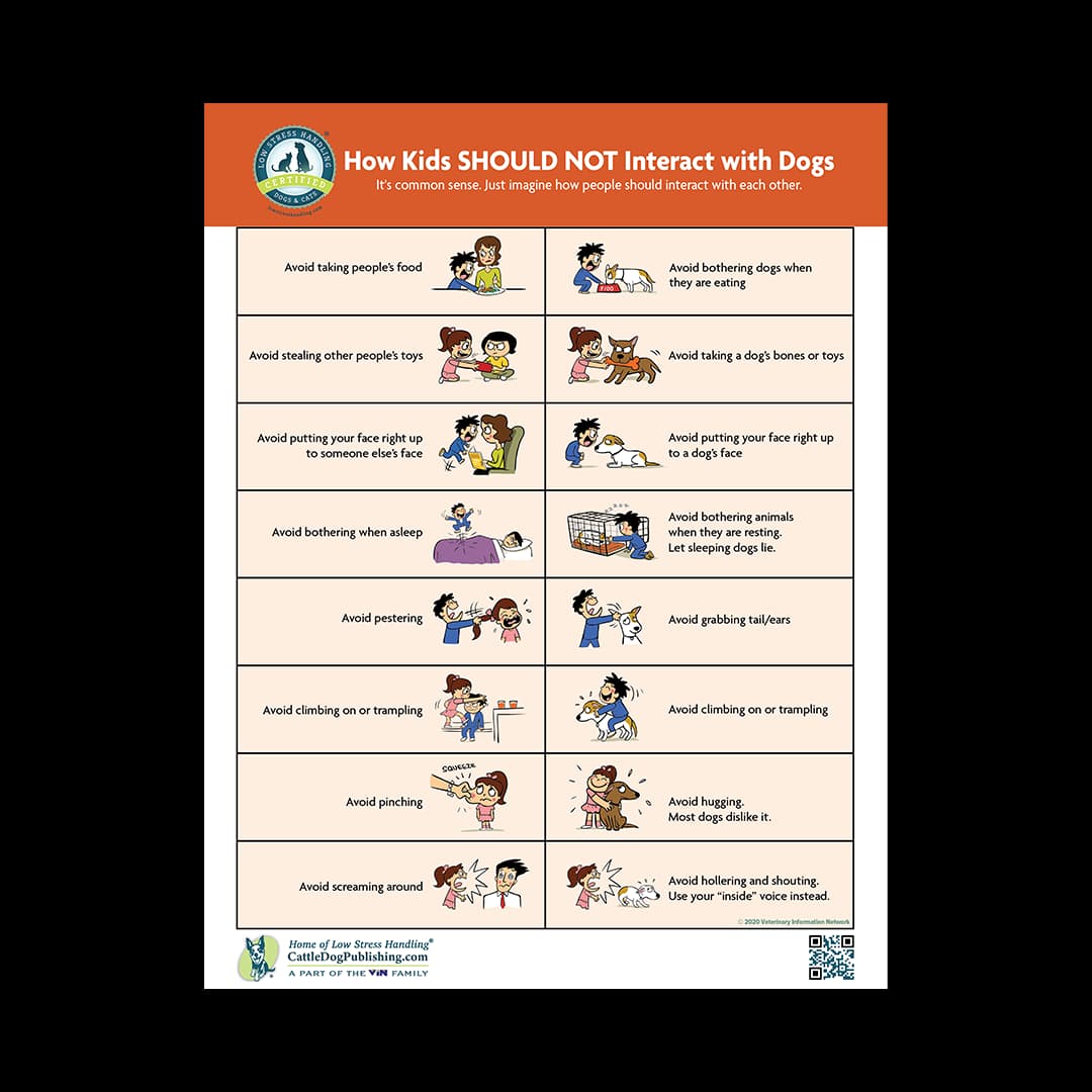 How Kids Should NOT Interact with Dogs (Packet of 25 Handouts)