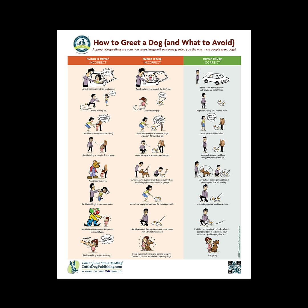 How To Greet A Dog Poster (Packet of 25 Handouts)