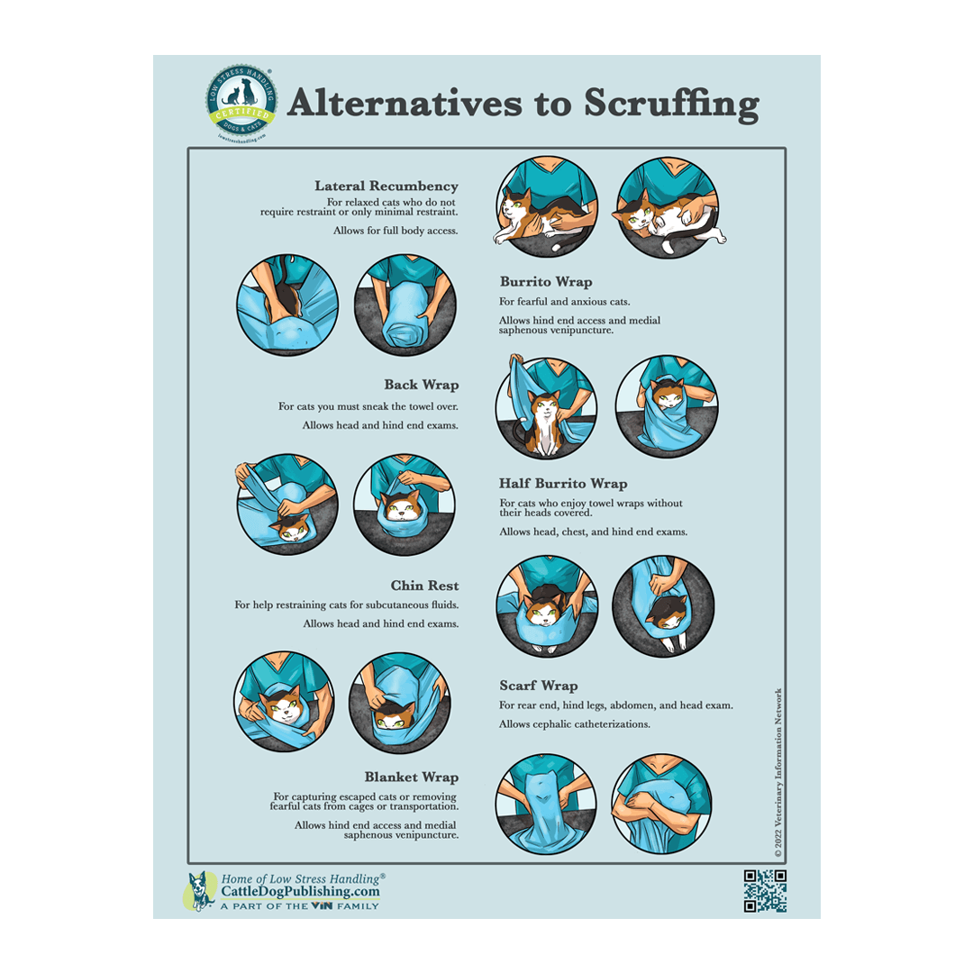 Alternatives to Scruffing Poster (pack of 25 Handouts)
