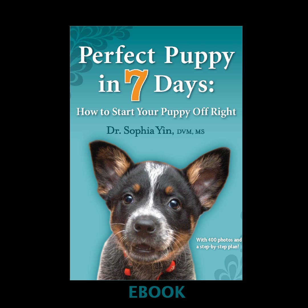 Perfect Puppy™ in 7 Days: How to Start Your Puppy Off Right – eBook