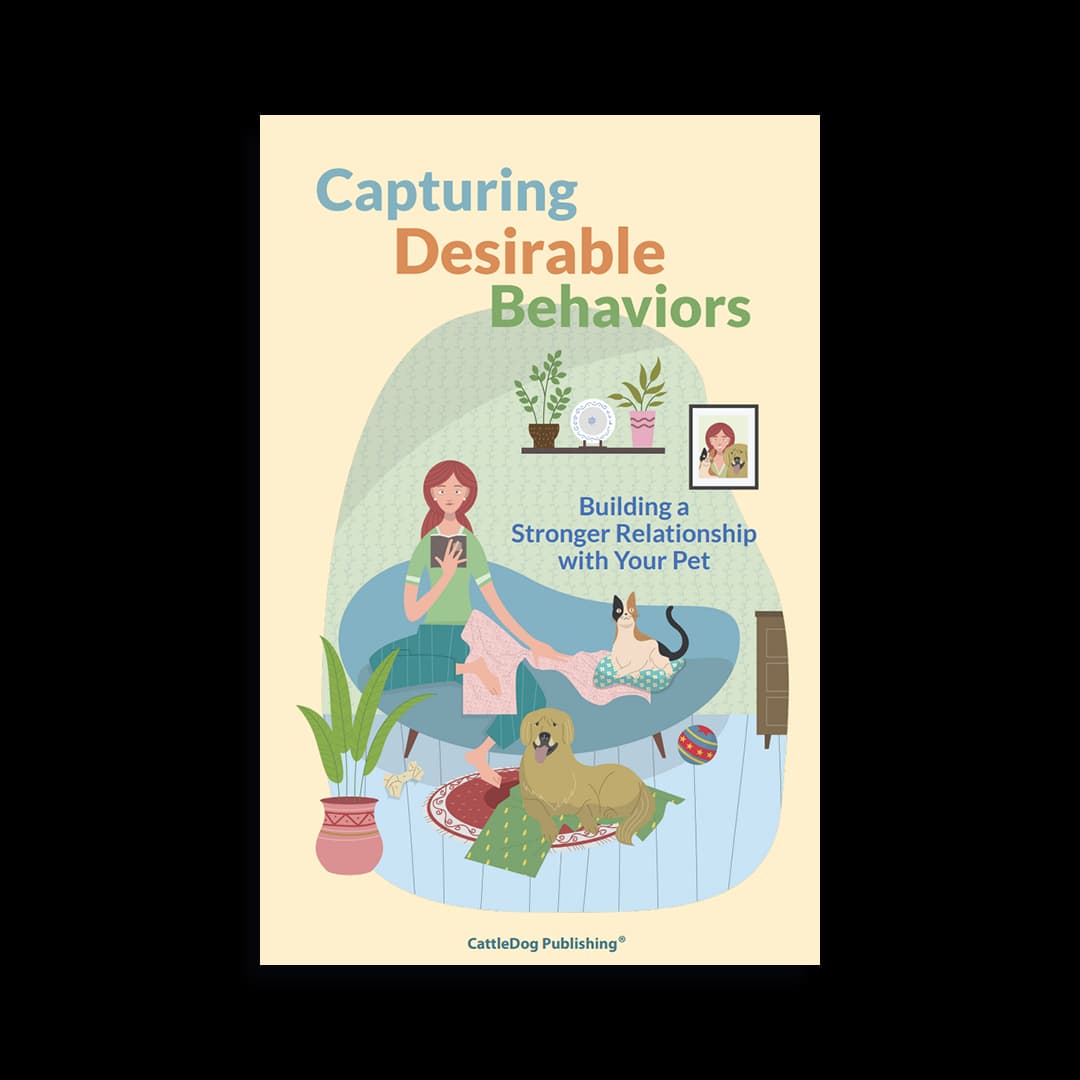 Capturing Desirable Behaviors (Packet of 10 Booklets)