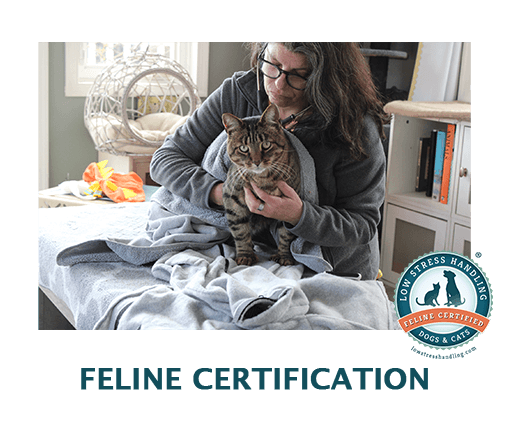 Feline Low Stress Handling® Certification