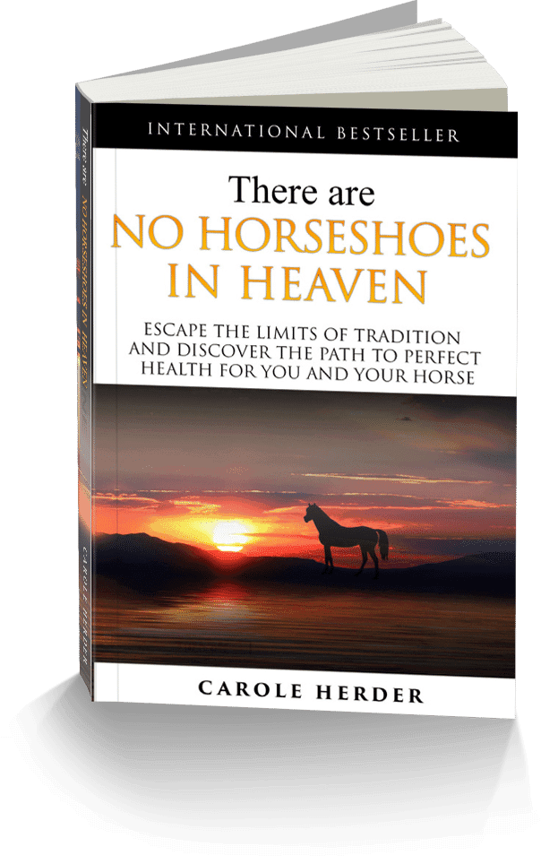 There are No Horseshoes in Heaven