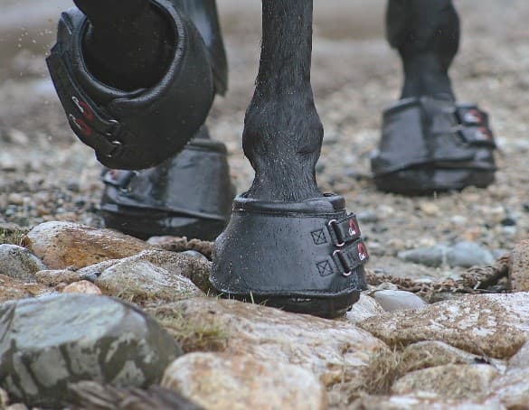Simple Hoof Boot – Black (sold in pairs) - thumbnail 10