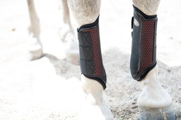 Cavallo ProFlex Splint Boots – Black - thumbnail 2