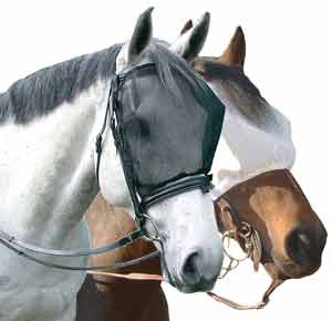 Simple Ride Mask Without Ears