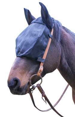 Simple Ride Mask With Ears