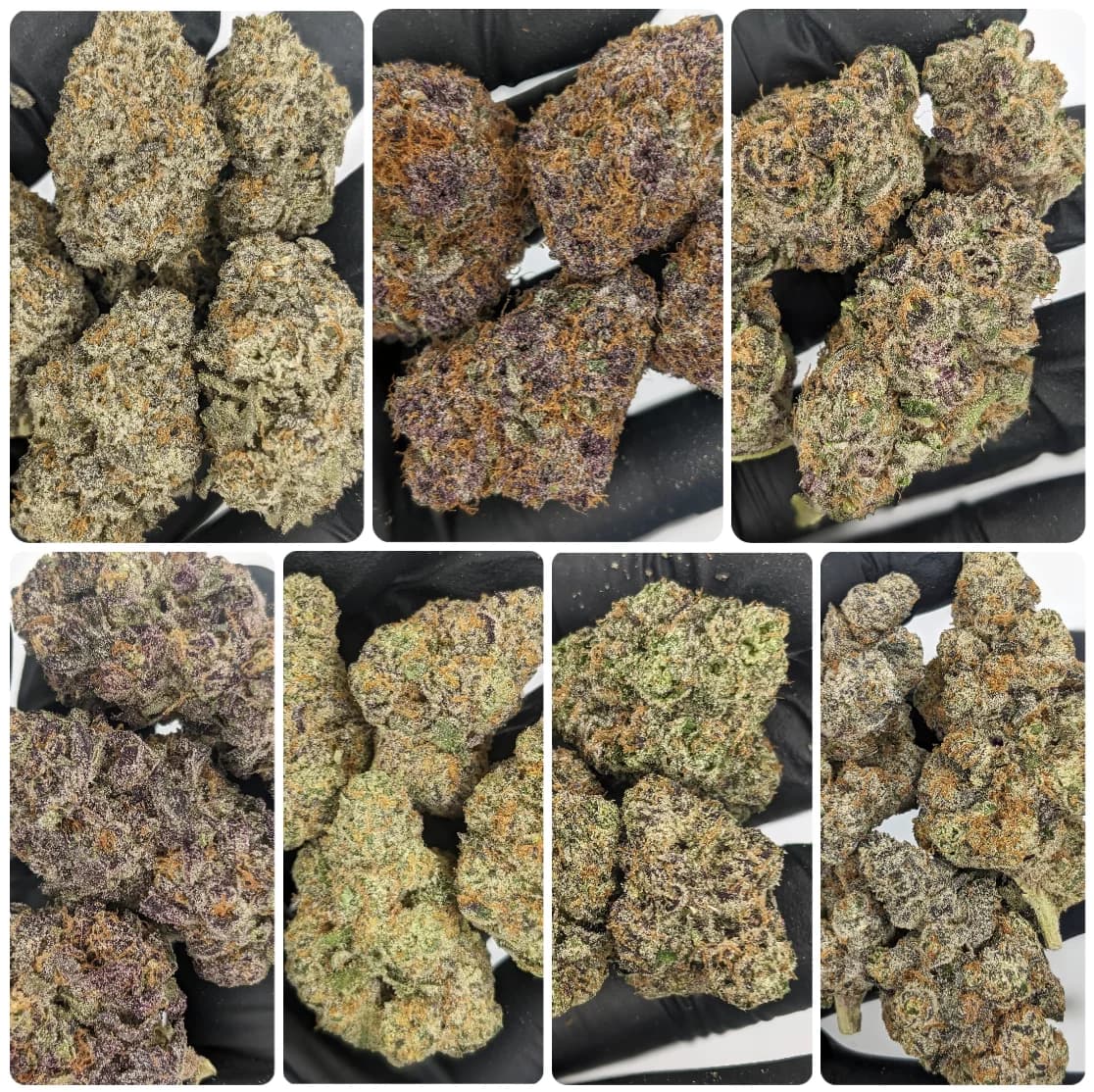 Bud Box – THCa Flower Subscription