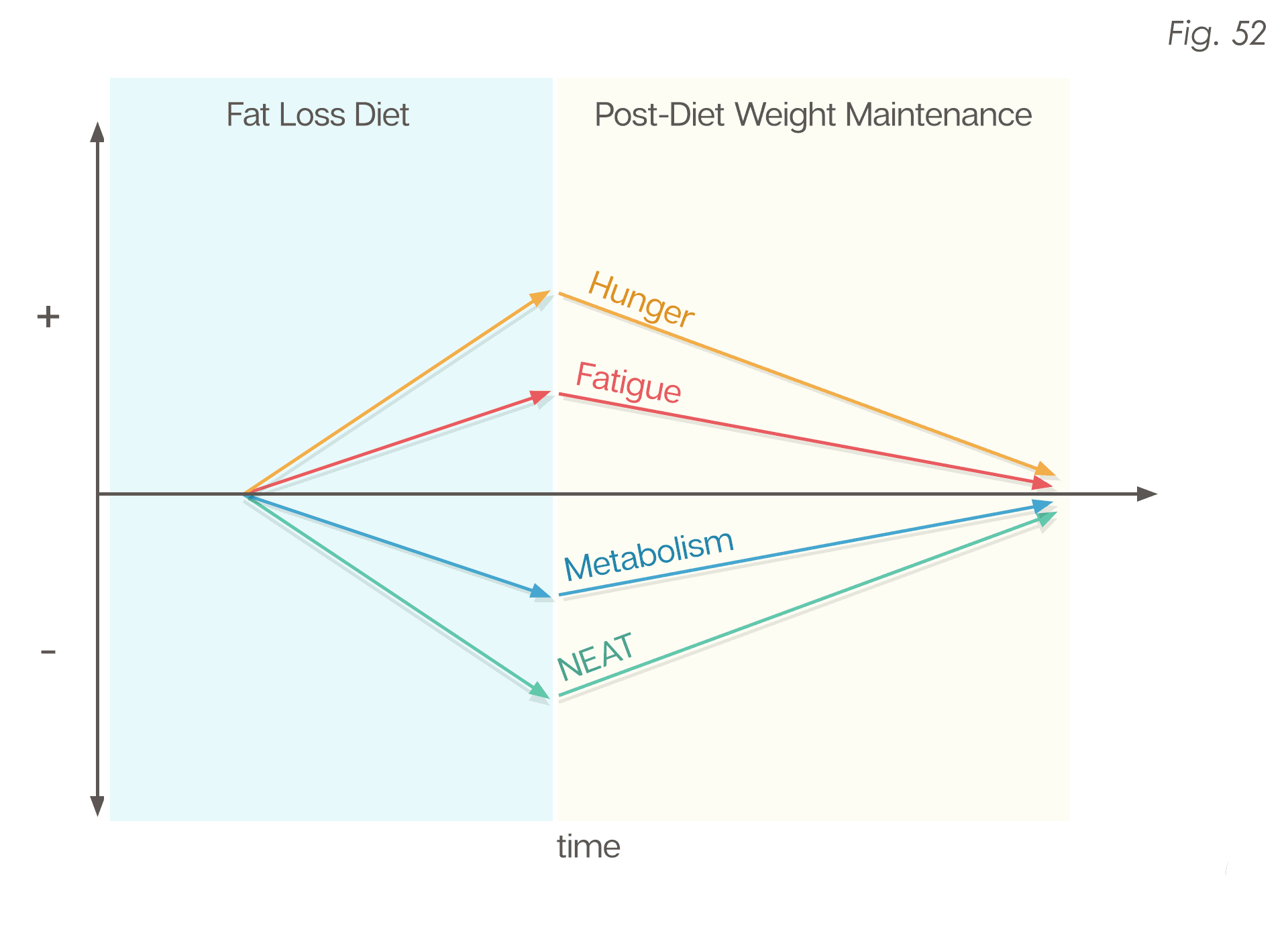 The Renaissance Diet 2.0 - thumbnail 5