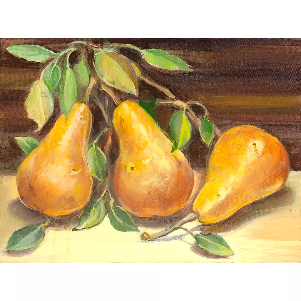 Golden Pears-Clearance-TK