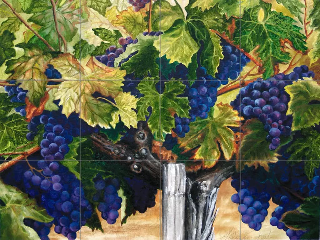 Ancient Vine II-Clearance-MT - thumbnail 2