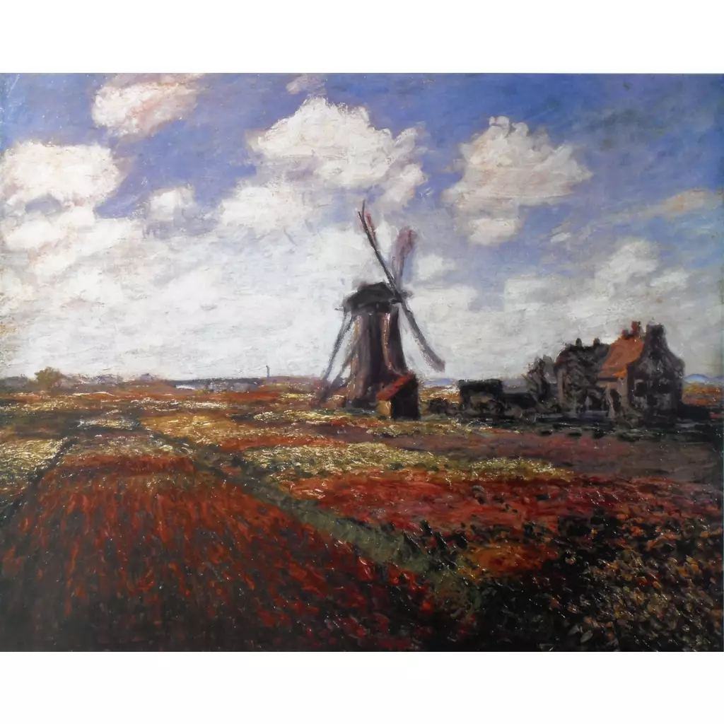 Tulips in Holland-Clearance-CM