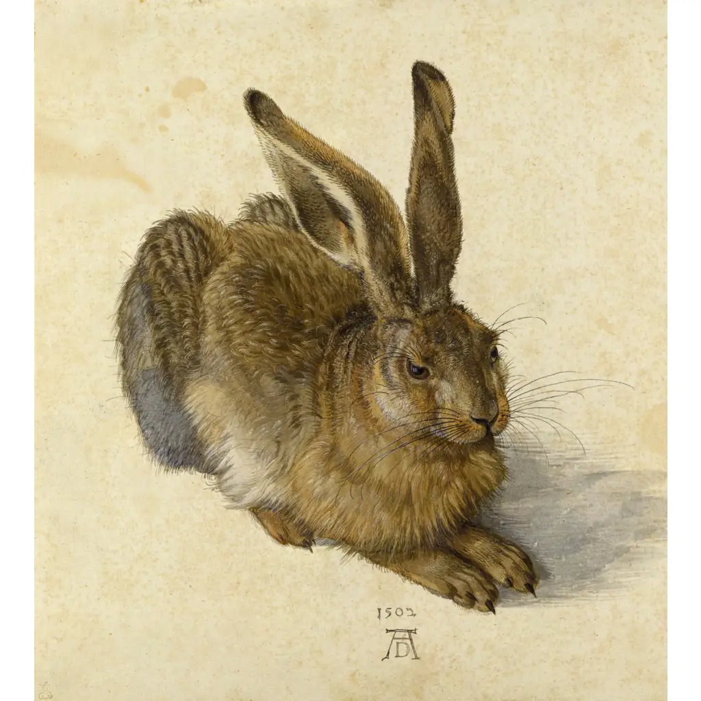 Tile Mural – Young Hare/Hase/Rabbit – Renaissance Fine Art Kitchen/Bathroom Backsplash Mural – Albrecht Durer