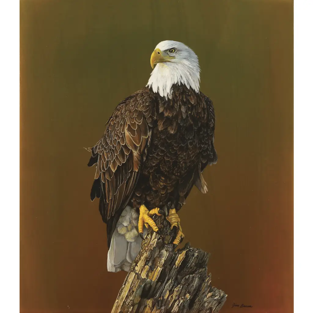 Tile Mural – Proud Bald Eagle – Bird Of Prey Bird Kitchen/Bathroom Backsplash Mural – Jim Brune
