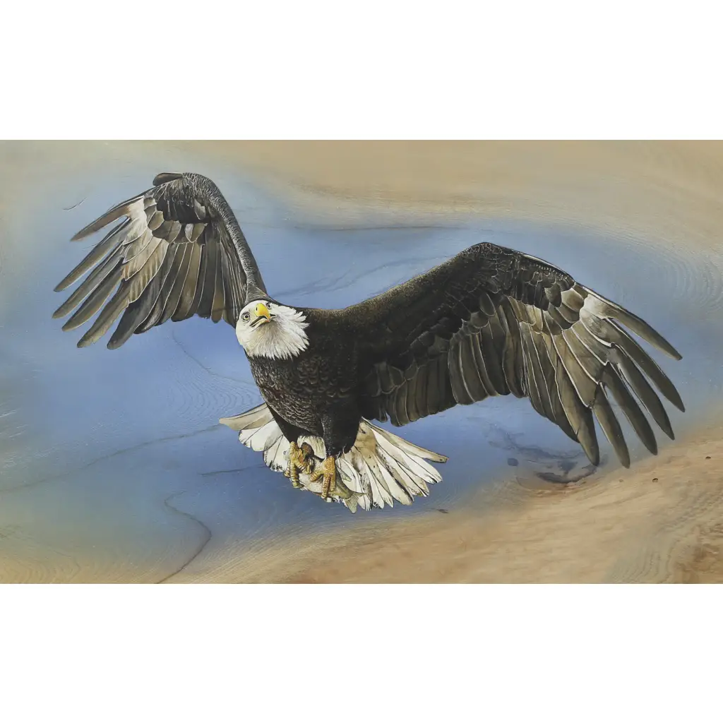 Tile Mural – Soaring Bald Eagle – Bird Of Prey Bird Kitchen/Bathroom Backsplash Mural – Jim Brune