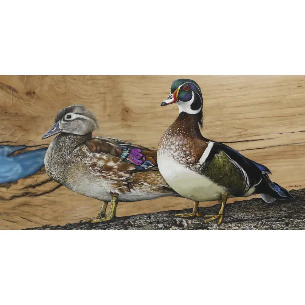 Tile Mural – Wood Ducks Home Sweet Home – Waterfowl Bird Kitchen/Bathroom Backsplash Mural – Jim Brune