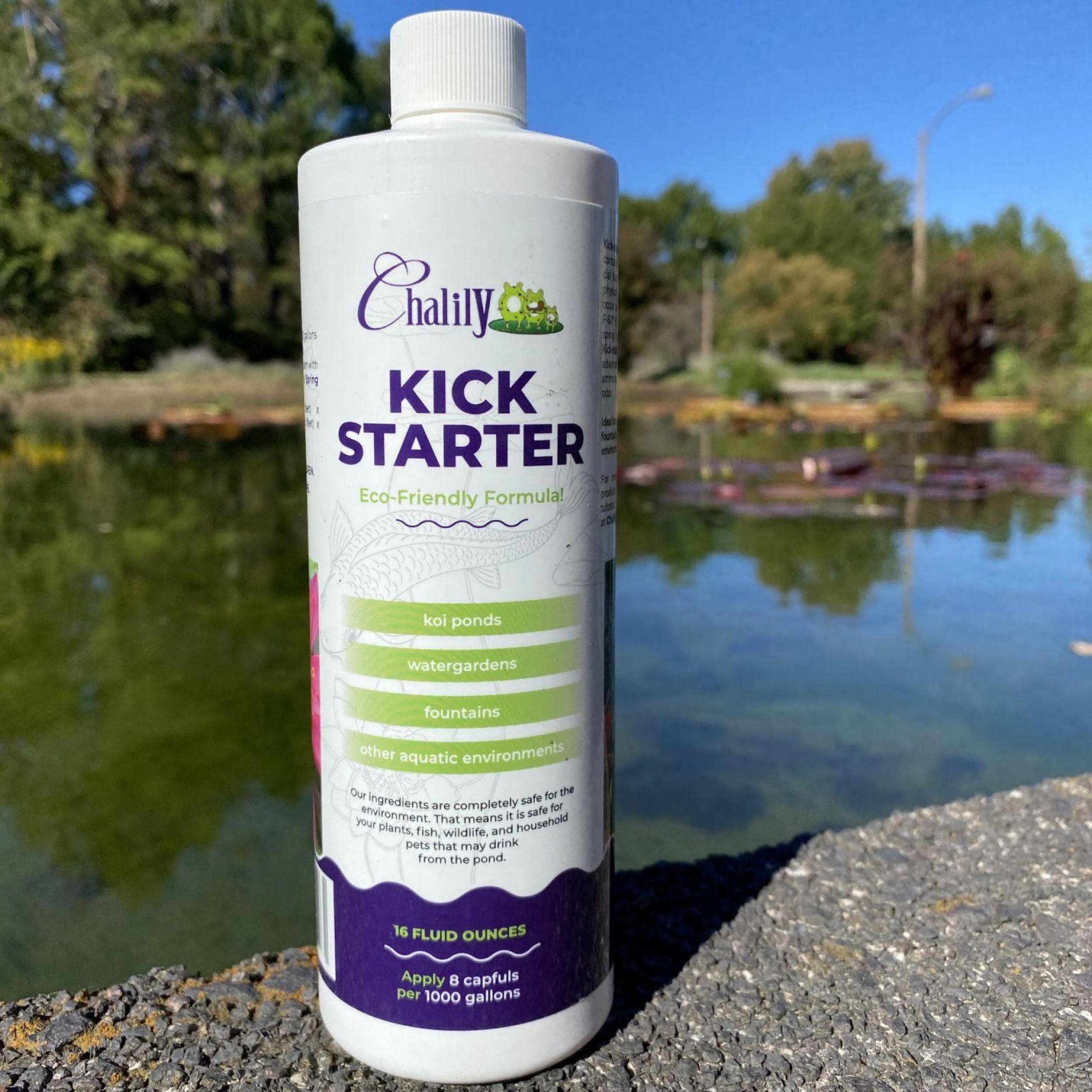 #1 Choice Kick-Starter – Chalily