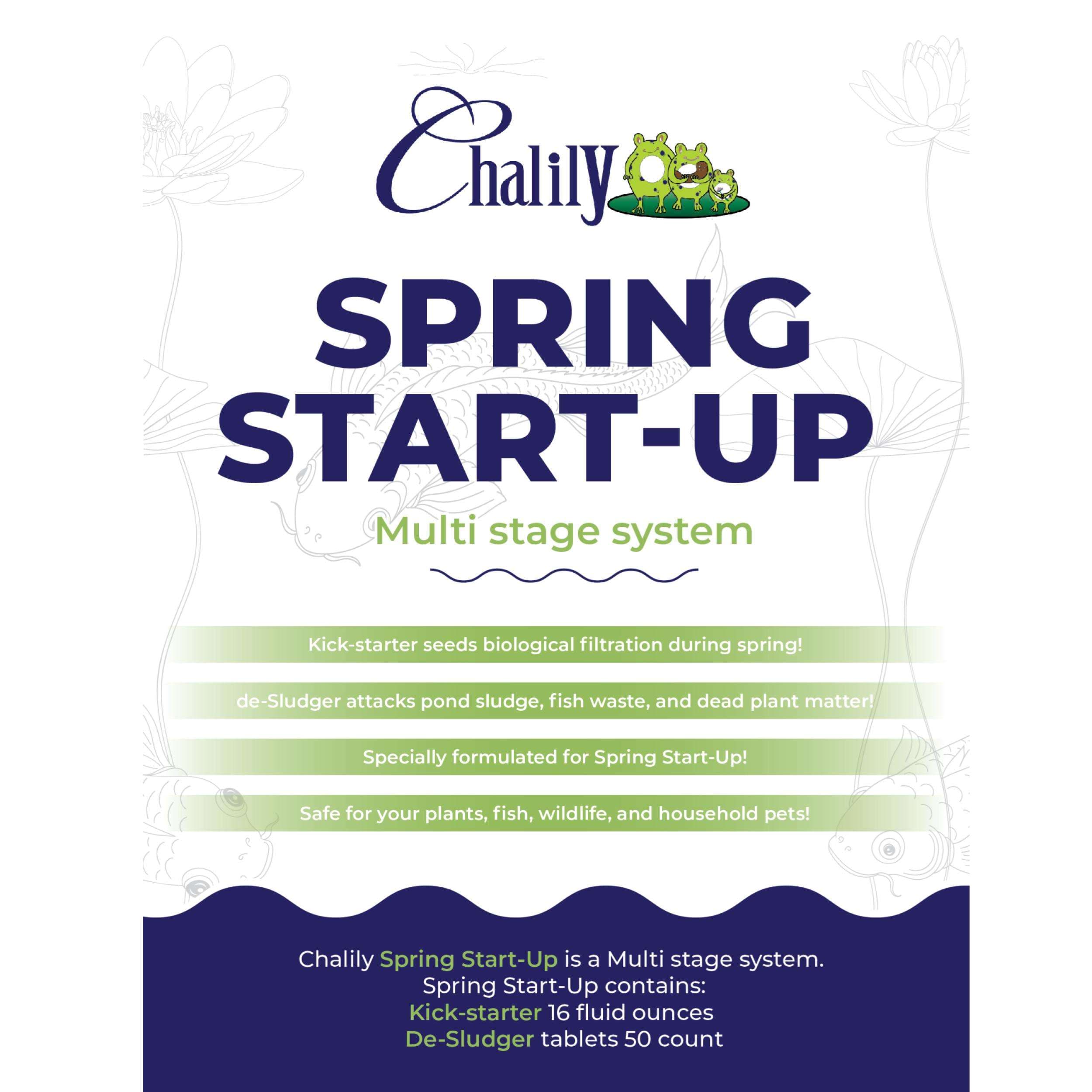 #1 Choice Spring Start-Up Multi Stage System – Chalily - thumbnail 7