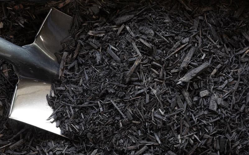 Decorative Dyed Black Mulch