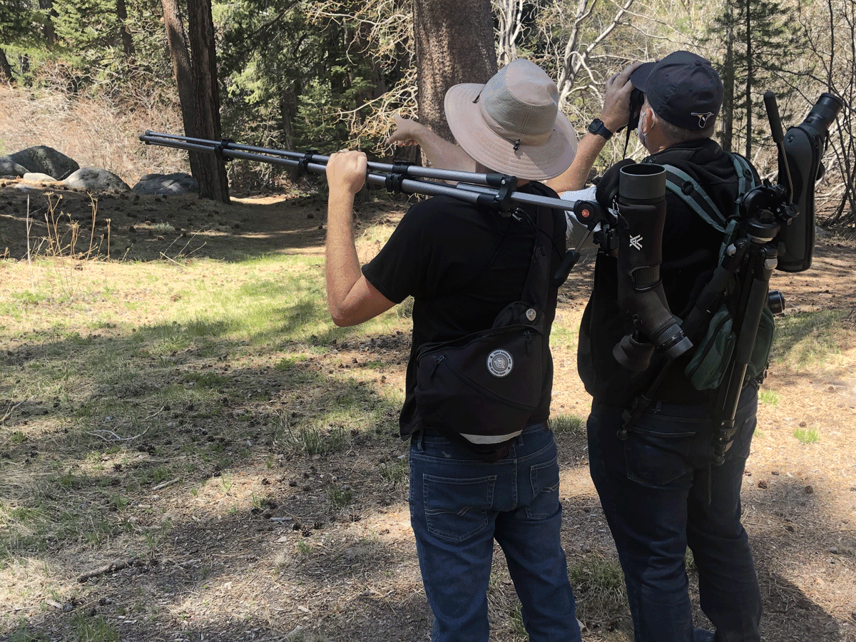 “Birding With a Camera” Workshop with Krisztina Scheeff | September 11th, 2022
