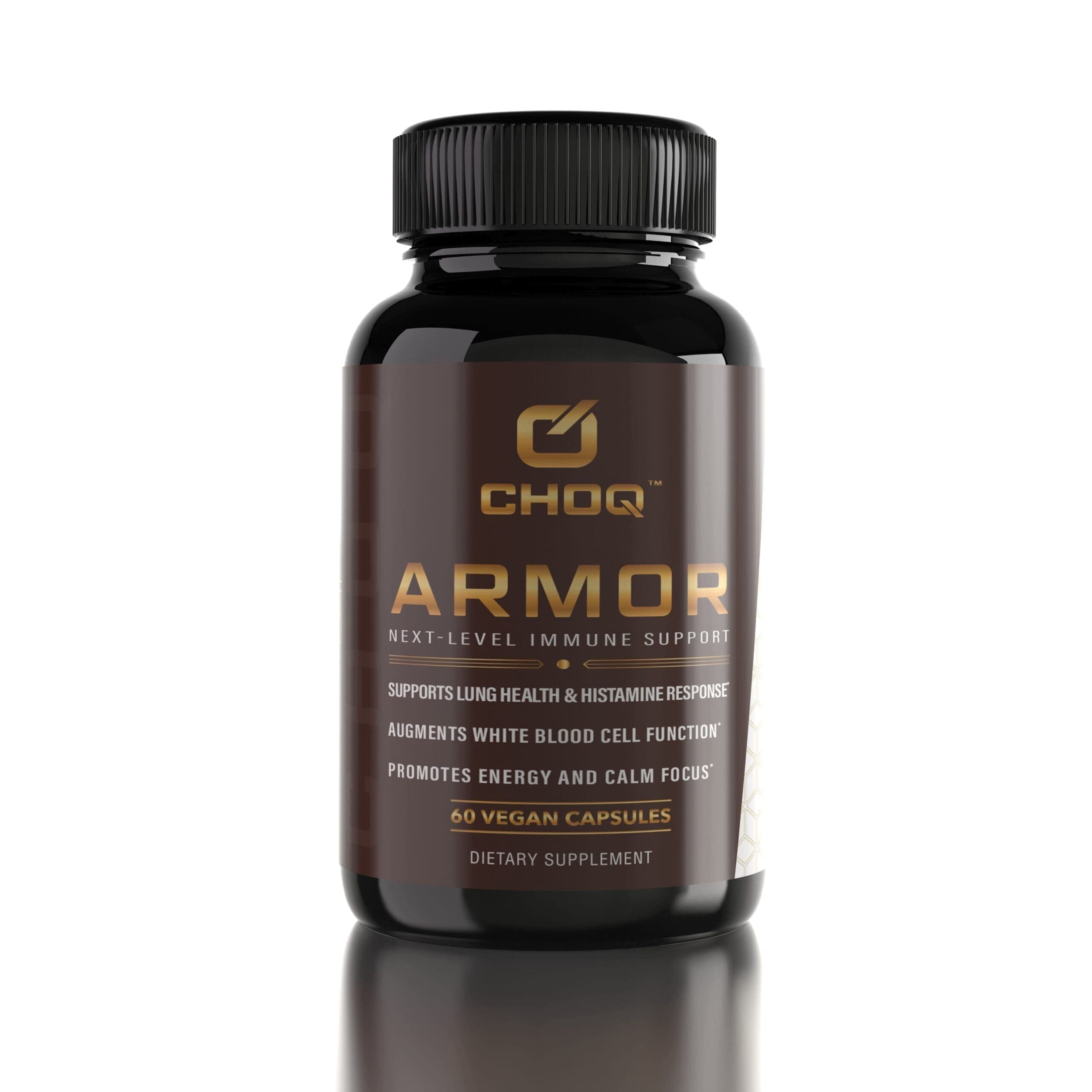 Armor – One time purchase