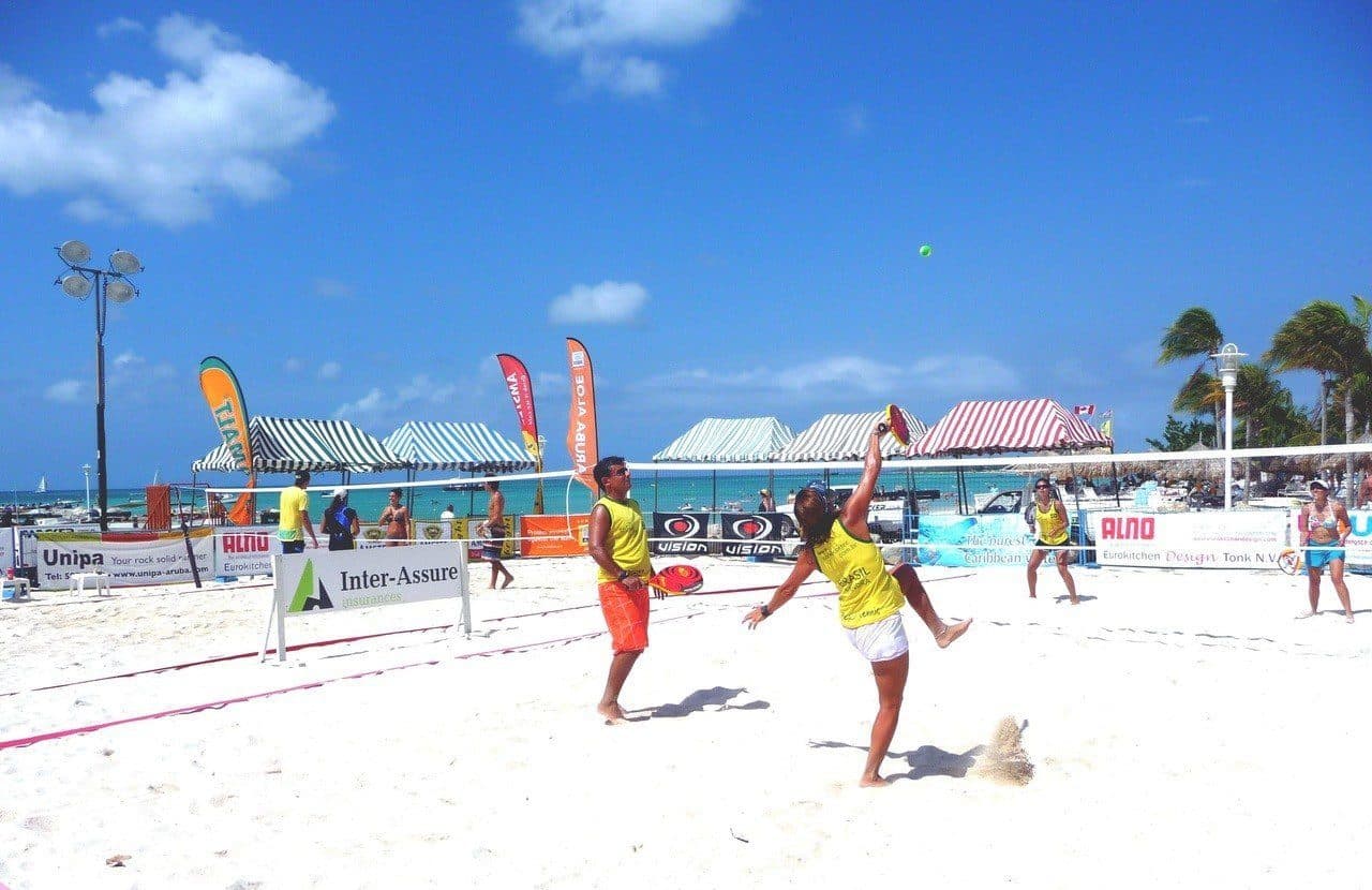 Viper Beach Tennis Net System– Paddle Version