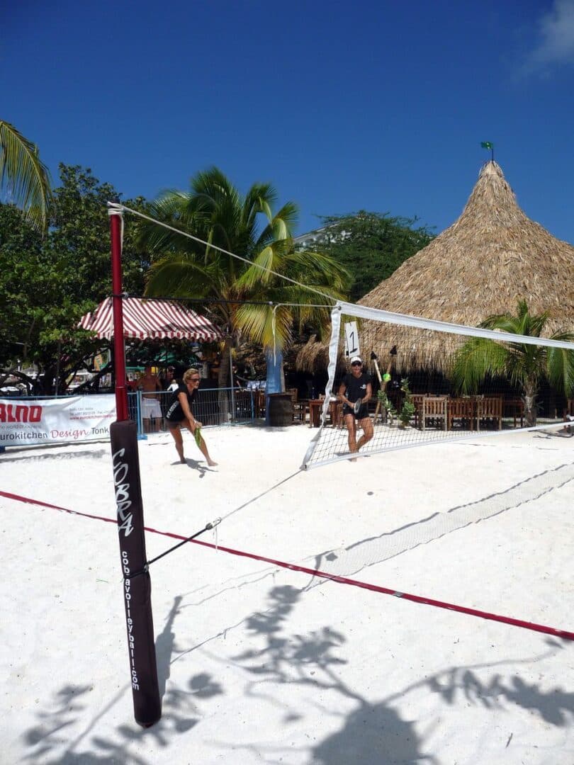 Cobra Beach Tennis Net System – Racquet Version - thumbnail 4