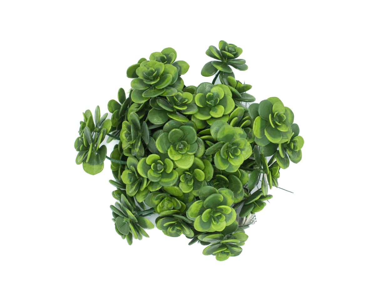 Artificial Rose Moss, Half Ball - thumbnail 4