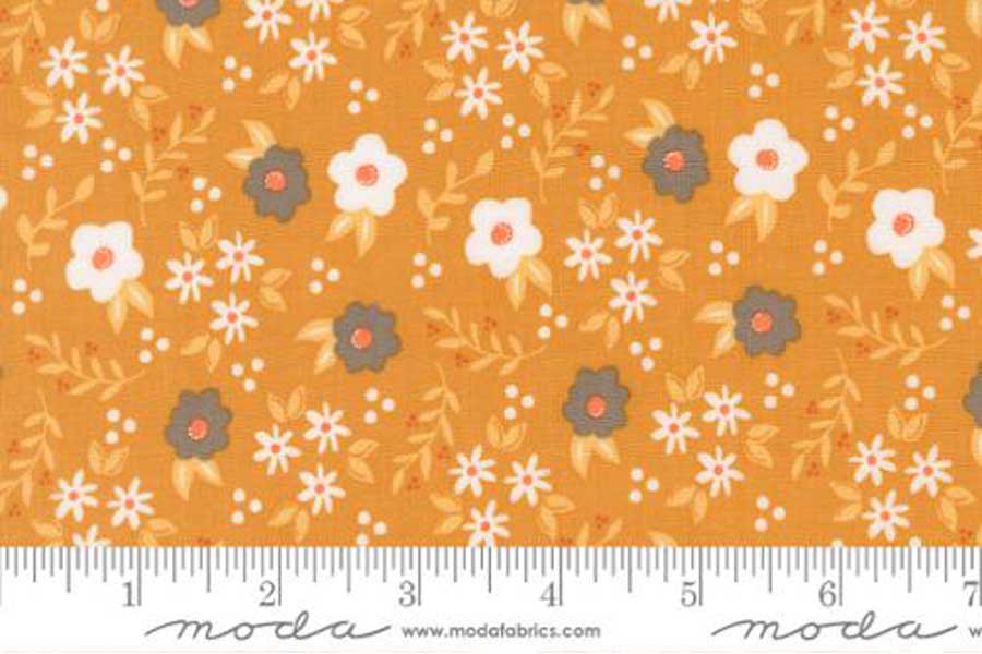 Birch & Willow Mums on Golden Orange