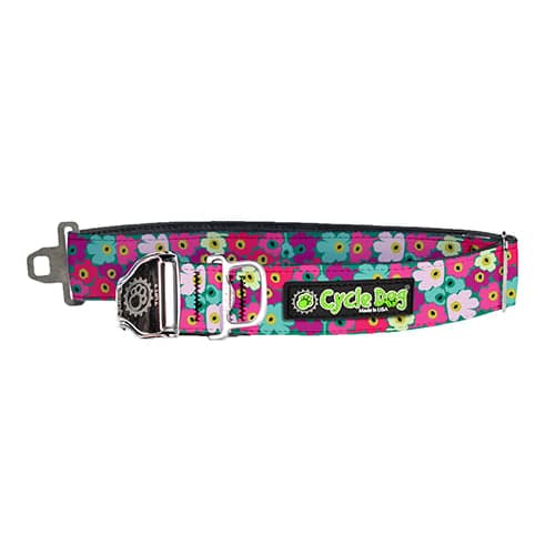 Crazy Cosmos Dog Collar