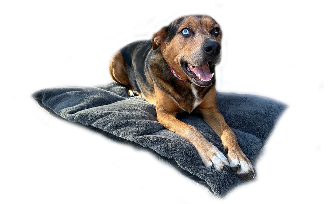 Duraplush Barrier Mat Dog Bed - thumbnail 2