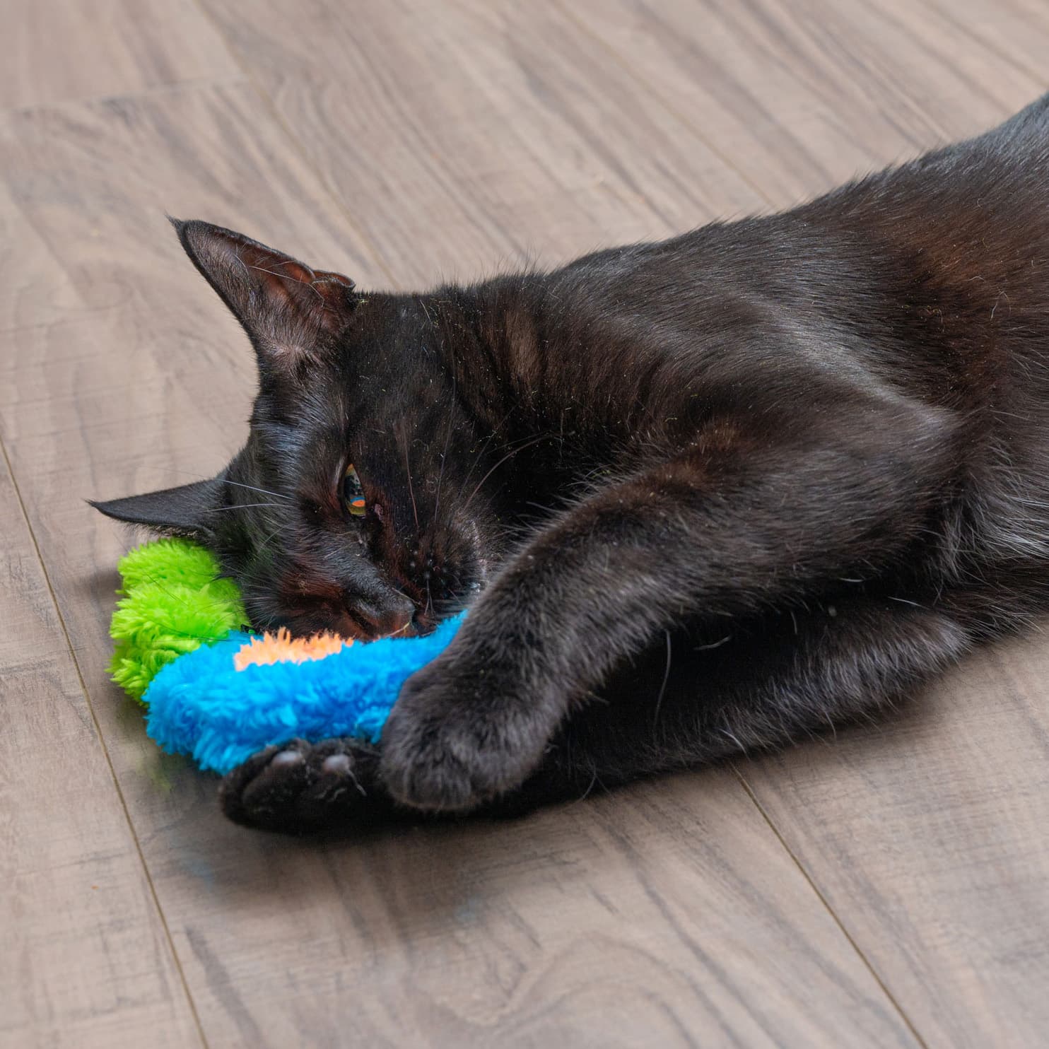 Duraplush Flower Cat Toy - thumbnail 2