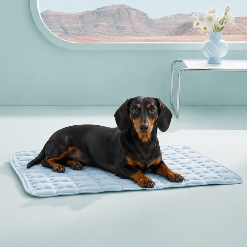 Bamboo Dachshund Cooling Mat
