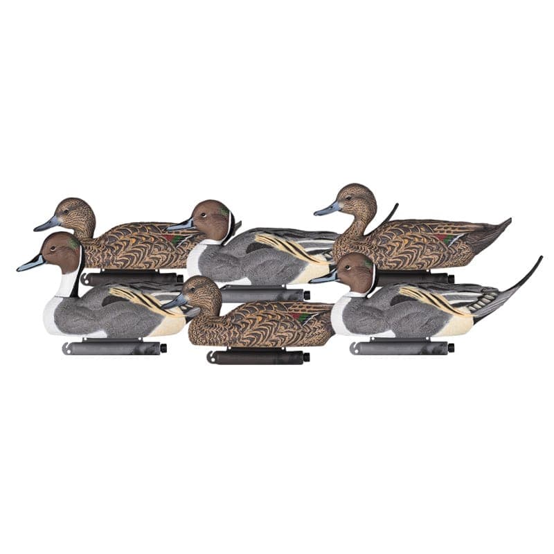 X-TREME PINTAILS