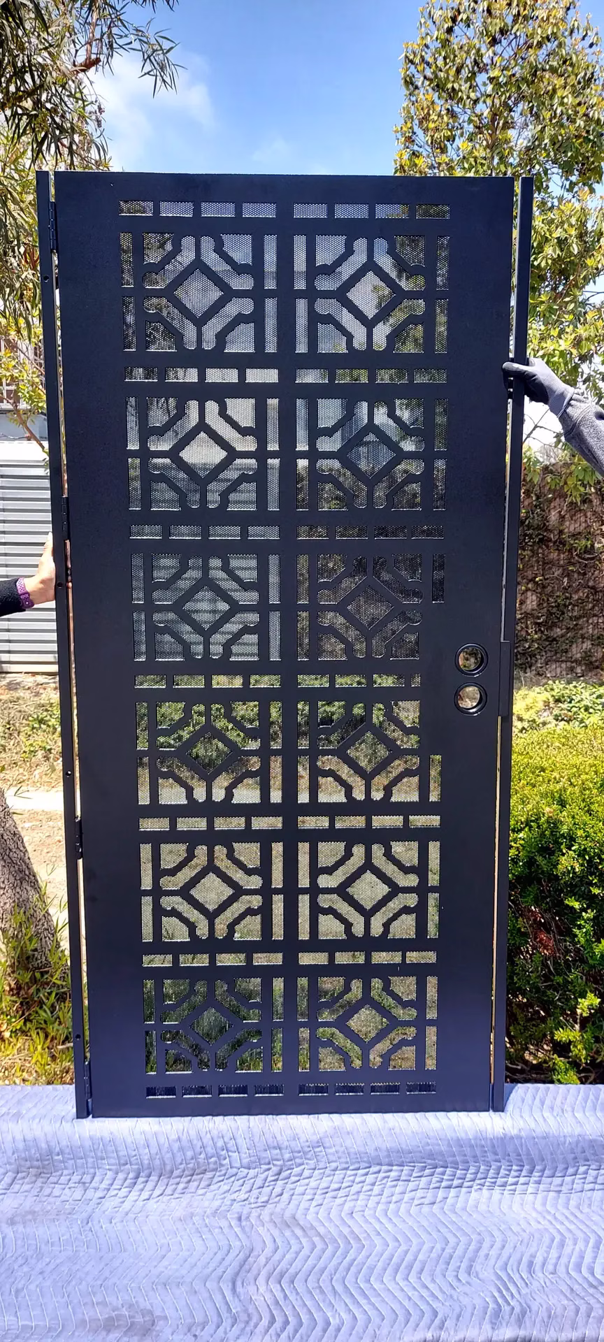 Security Screen Door Alcorn #9005